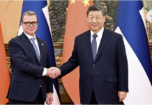 视频丨习近平会见芬兰总理奥尔波