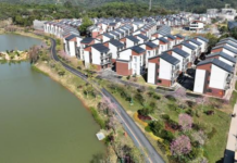 【大美广东·中印尼双语】(Bilingual Cina dan Indonesia)村民乐享“别墅式”生活!广州黄埔绘就乡村新图景