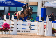 【大美广东·中印尼双语】(Bilingual Cina dan Indonesia)2025中国马术巡回赛年度总决赛燃动深圳光明