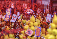 【大美广东·中印尼双语】(Bilingual Cina dan Indonesia)迎新春,到广州荔湾买花