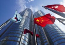 香港助力大灣區企業加速拓展東盟市場