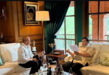 普拉博沃会晤关键官员 推进百亿盾下游产业等重大投资项目