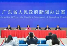 GDP超4200亿元!江门凭实力强势“出圈”