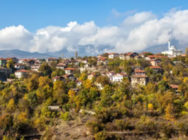 土耳其对中国公民实施免签政策 180天内可停留90天