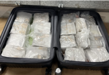 够大胆!33岁女子携18公斤冰毒从新加坡飞奥克兰