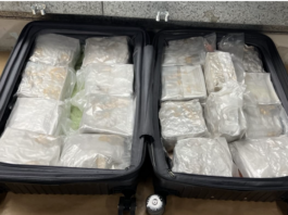 够大胆!33岁女子携18公斤冰毒从新加坡飞奥克兰