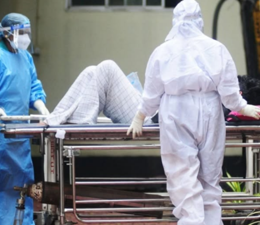 印度暴发立百病毒疫情 溯源指向生椰枣树汁与果蝠传播链