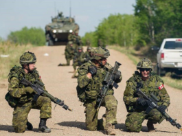 加媒曝加拿大军方制定应对美军入侵游击战方案