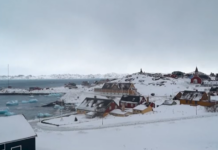 白宫:特朗普正考虑夺取格陵兰岛方案 包括动用武力