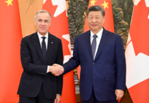 习近平唔卡尼:推动中加关系迈向健康稳定发展轨道