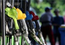 政府将今年起停止向私营加油站发放柴油进口许可