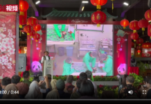 【视频】印尼首次迎来大熊猫幼仔诞生