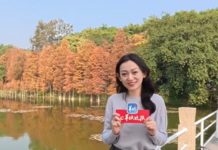 【大美广东·中印尼双语】(Bilingual Cina dan Indonesia)冬日广州,赴一场水墨画中游