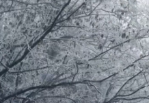 【大美广东·中印尼双语】(Bilingual Cina dan Indonesia)岭南雪国!清远连南板洞现冰挂雾凇奇观