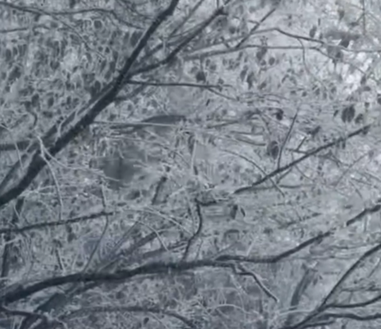 【大美广东·中印尼双语】(Bilingual Cina dan Indonesia)岭南雪国!清远连南板洞现冰挂雾凇奇观