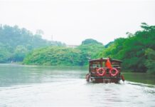 探索“医旅融合”新模式 江门推6条“侨享邑游·康养侨都”主题线路