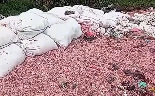 央行前往勿加泗非法垃圾场调查碎纸状纸币来源