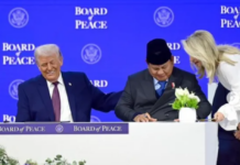 【特稿】印尼与美国达成新关税协议 智库警告或引发贸易争端及外资冲击