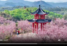 【大美广东·中印尼双语】(Bilingual Cina dan Indonesia)赴韶关 过大年