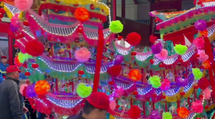 华灯百转闹正月!百余位海外侨胞温州“侨岛”划龙灯