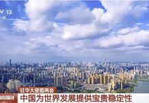 视频丨驻华大使看两会 中国为世界发展提供宝贵稳定性