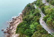 全国首个!广东以“媒体+”赋能粤港澳大湾区美丽中国先行区建设