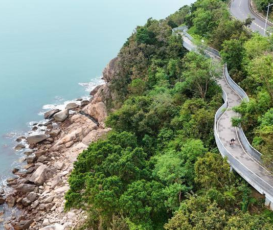 全国首个!广东以“媒体+”赋能粤港澳大湾区美丽中国先行区建设