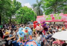 樱花树下办集市:一所高校与一个产业的生生不息| 樱花下•广货行