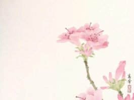 国际在线 花信 | 万芾笔下的草木灵韵