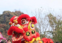 【大美广东·中印尼双语】(Bilingual Cina dan Indonesia)水上醒狮凌波起舞,桂粤高手桩上争锋——云浮春节醒狮邀请赛正月十三天湖开锣