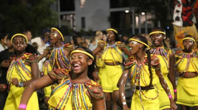 南非开普敦嘉年华举行 中华文化展演引欢呼