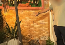 外籍情侣公然在芭提雅酒店门口神龛旁“嘿咻”