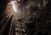 全球煤炭价格大幅上涨 印尼煤炭大亨受益凸显