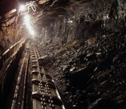 全球煤炭价格大幅上涨 印尼煤炭大亨受益凸显