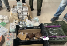 三百余只走私野生动物遗弃泰国甘蔗田