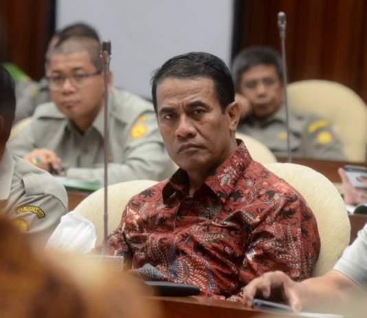 政府计划进口1000吨大米,农业部长:专供游客