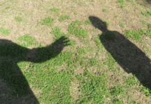 荒唐!83岁老妇遭非礼