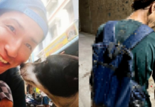 日本游客在印度拒给乞丐钱 遭掷牛粪水球后住院四天