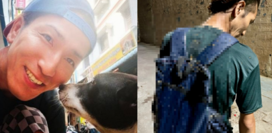 日本游客在印度拒给乞丐钱 遭掷牛粪水球后住院四天