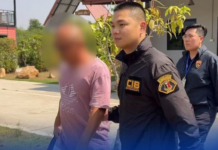 中国男子涉嫌组织赌博逃亡泰国被捕