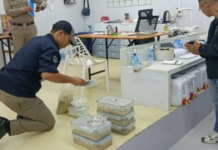 泰警突袭非法大麻提取物场所 逮捕以色列男子