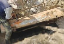 迁葬祖母惊见61年遗体未腐成“荫尸”