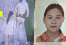 昏迷中被带离别墅 中国女子陈尸泰国椰子园