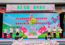 2026清远赏花季暨笔架山花朝月启幕 文旅融合激活粤北春日活力