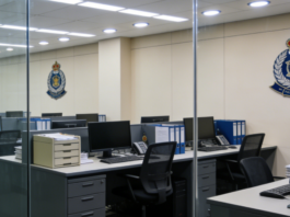 妻子逼警长丈夫违法查资料 夫丢工作陪妻坐牢