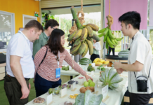 Global Journalists Experience the Novel, Weird, and Wonderful in Qionghai