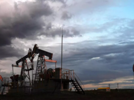 俄专家:美国打击伊朗意在抢占中国石油市场