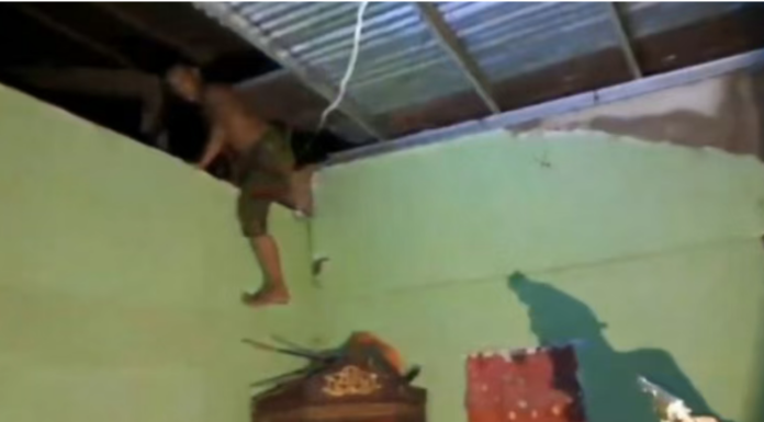 南苏拉威西男子性侵岳母 藏匿天花板被捕