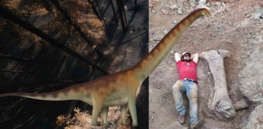 体长约20公尺 巴西发现新巨型恐龙