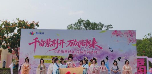 千亩紫荆绽芳华 国潮雅集启新篇 蓝田紫林首届花朝盛典艳丽登场